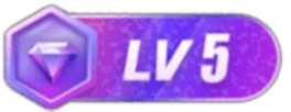 等级-LV5-零修论坛